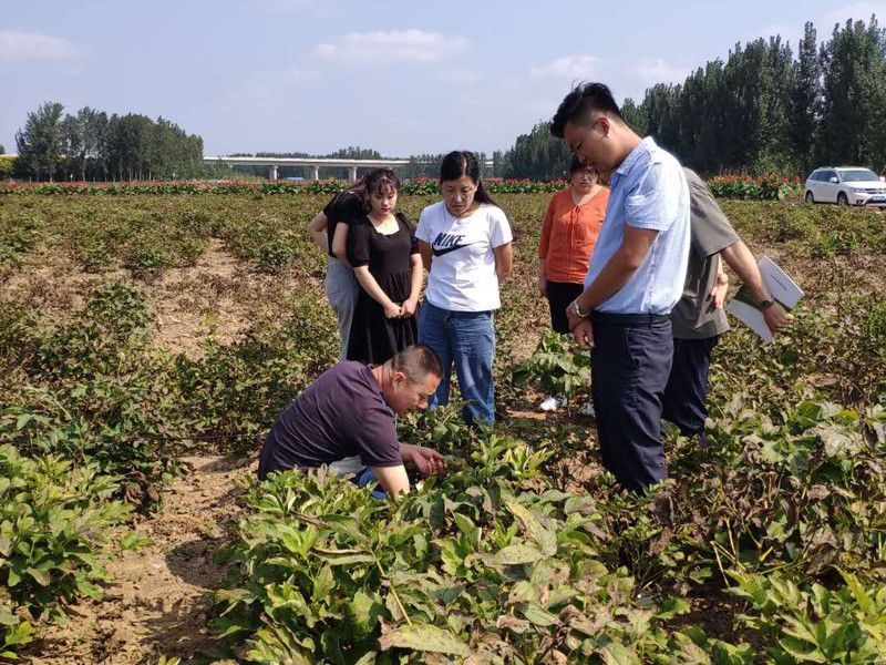 20200911潍坊客户来基地考察