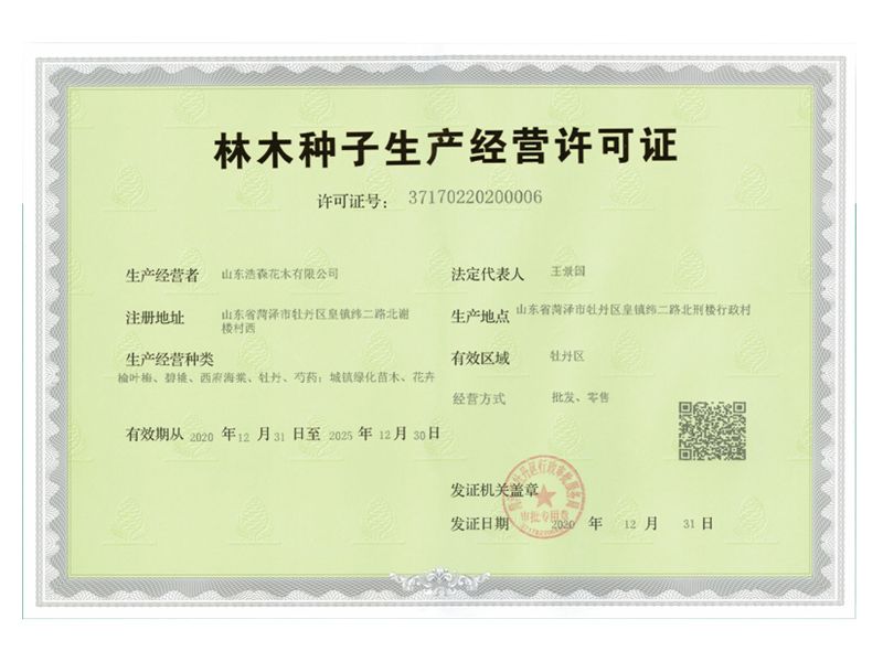 林木种子生产经营许可证