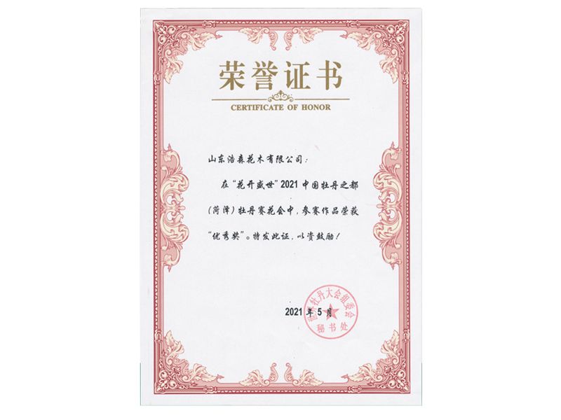 优 秀奖