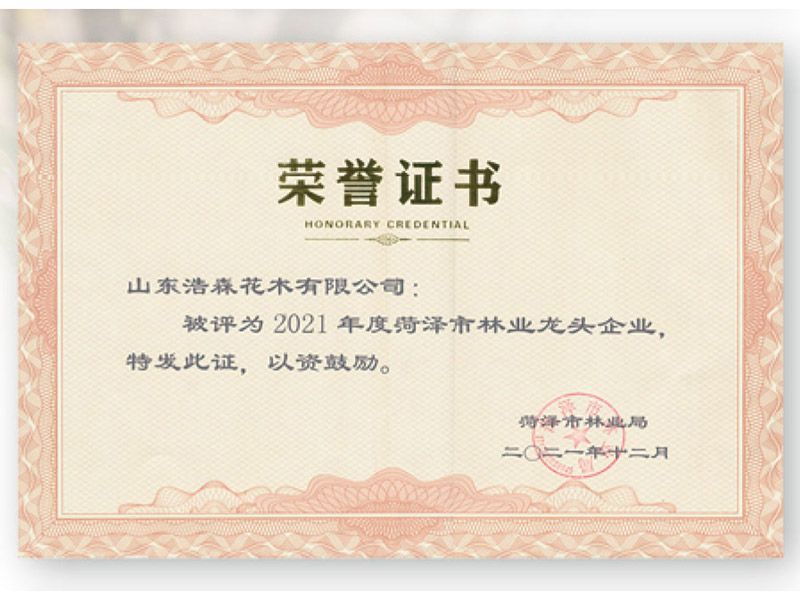 菏泽市林业龙 头企业