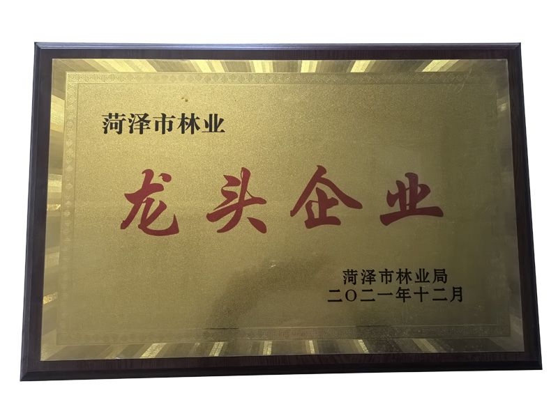 菏泽市林业龙 头企业