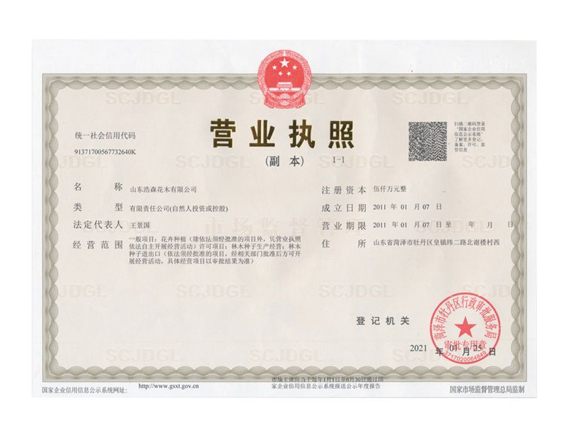 营业执照